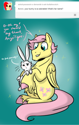 Size: 720x1131 | Tagged: safe, artist:ordinarydraw, artist:when-we-say-goodbye, angel bunny, angela bunny, butterscotch, fluttershy, pegasus, pony, ask, ask buttahscotch, hooves, rule 63, tumblr, unshorn fetlocks, vulgar