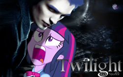 Size: 1152x720 | Tagged: safe, derpibooru import, edit, flash sentry, twilight sparkle, equestria girls, brad, exploitable meme, pun, random, twilight (series), twiscream