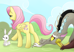 Size: 714x504 | Tagged: safe, artist:norang94, angel bunny, discord, fluttershy, draconequus, pegasus, pony, rabbit, animal, butt, discoshy, eyes on the prize, female, male, mare, plot, shipping, straight