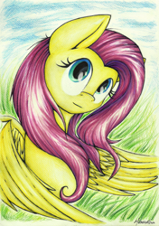 Size: 900x1278 | Tagged: safe, artist:moonlightfl, fluttershy, pegasus, pony, female, mare, solo, traditional art