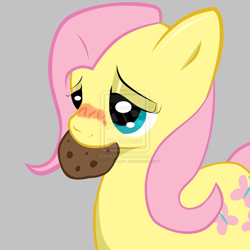 Size: 1024x1024 | Tagged: safe, artist:digitalunicorn, fluttershy, pegasus, pony, blushing, cookie, eating, solo, watermark