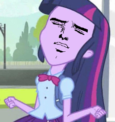 Size: 567x600 | Tagged: safe, derpibooru import, edit, edited screencap, screencap, twilight sparkle, equestria girls, equestria girls (movie), cropped, exploitable meme, meme, solo, twiscream, yaranaika