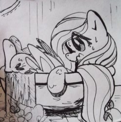 Size: 500x504 | Tagged: safe, artist:tess, fluttershy, pegasus, pony, bath, monochrome, solo