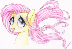 Size: 4383x3000 | Tagged: safe, artist:vird-gi, fluttershy, pegasus, pony, solo, traditional art, windswept mane