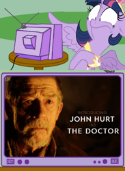 Size: 438x600 | Tagged: safe, derpibooru import, twilight sparkle, twilight sparkle (alicorn), alicorn, pony, beard, clothes, doctor who, exploitable meme, facial hair, herringbone, john hurt, leather, pinstripe, scarf, shirt, spoiler, trenchcoat, tv meme, unknown doctor, war doctor