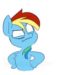 Size: 364x429 | Tagged: safe, artist:drawbauchery, artist:spyincorporated1500, color edit, derpibooru import, edit, rainbow dash, pegasus, pony, angry, annoyed, colored, female, hooves on hips, looking at you, mare, raised eyebrow, solo