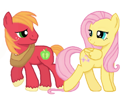 Size: 700x545 | Tagged: safe, artist:thecat101, big macintosh, fluttershy, earth pony, pegasus, pony, fluttermac, male, shipping, stallion, straight