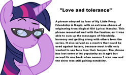 Size: 1350x800 | Tagged: source needed, safe, derpibooru import, edit, twilight sparkle, glasses, love and tolerance, solo, text