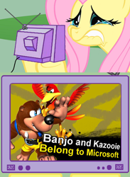 Size: 500x684 | Tagged: safe, fluttershy, pegasus, pony, banjo kazooie, exploitable meme, fluttercry, hilarious in hindsight, meme, microsoft, obligatory pony, parody, rareware, super smash bros., super smash bros. 4, tv meme