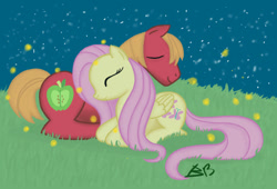 Size: 859x583 | Tagged: safe, artist:stargazer96, big macintosh, fluttershy, earth pony, pegasus, pony, fluttermac, male, night, shipping, stallion, straight