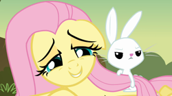 Size: 1054x591 | Tagged: safe, screencap, angel bunny, fluttershy, pegasus, pony, hurricane fluttershy, female, mare