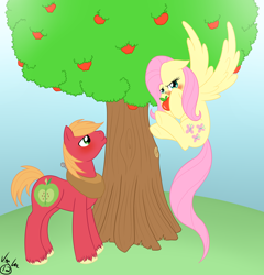 Size: 1800x1872 | Tagged: safe, artist:itsuko103, big macintosh, fluttershy, earth pony, pegasus, pony, blushing, fluttermac, male, shipping, stallion, straight