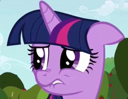 Size: 393x306 | Tagged: safe, derpibooru import, screencap, twilight sparkle, unicorn twilight, unicorn, applebuck season, lip bite, nose wrinkle, solo