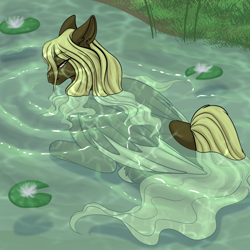 Size: 800x800 | Tagged: safe, artist:foxenawolf, oc, oc only, oc:ickle muse, pegasus, pony, female, looking at you, looking back, looking back at you, partially submerged, solo, unshorn fetlocks, water, water lily