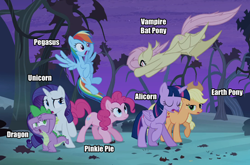 Size: 500x329 | Tagged: safe, derpibooru import, applejack, fluttershy, pinkie pie, rainbow dash, rarity, spike, twilight sparkle, twilight sparkle (alicorn), alicorn, bat pony, dragon, earth pony, pegasus, pony, undead, unicorn, vampire, vampony, bats!, cowboy hat, diversity, eyes closed, female, flutterbat, flying, hat, impact font, male, mane seven, mane six, mare, species