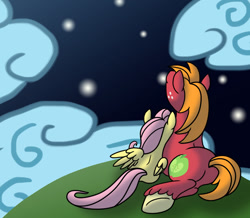 Size: 1064x928 | Tagged: safe, artist:pampoke, big macintosh, fluttershy, earth pony, pegasus, pony, back, cloud, cloudy, fluttermac, male, night, shipping, stallion, stargazing, straight