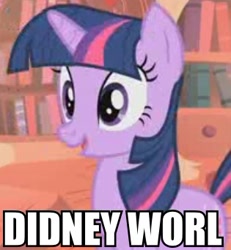 Size: 315x341 | Tagged: safe, derpibooru import, edit, edited screencap, screencap, twilight sparkle, owl's well that ends well, caption, cropped, didney worl, image macro, meme, needs more jpeg, solo