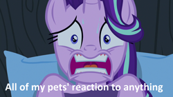 Size: 1280x720 | Tagged: safe, edit, edited screencap, screencap, starlight glimmer, pony, unicorn, to where and back again, dialogue, female, image macro, meme, scared, solo