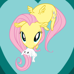 Size: 1000x1000 | Tagged: safe, artist:fxcellent, angel bunny, fluttershy, pegasus, pony, carrying, ear fluff, flying, looking at you, mouth hold, perspective, scruff