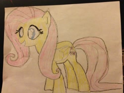 Size: 2448x1836 | Tagged: safe, fluttershy, pegasus, pony, female, mare, pink mane, solo, yellow coat