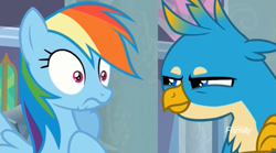 Size: 1659x923 | Tagged: safe, derpibooru import, screencap, gallus, rainbow dash, griffon, pegasus, pony, school daze, duo, egghead, female, male, narrowed eyes, out of context