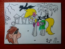 Size: 960x720 | Tagged: safe, derpy hooves, doctor whooves, pegasus, pony, beach, blushing, female, mare, summer