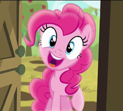 Size: 1200x1080 | Tagged: safe, edit, screencap, pinkie pie, earth pony, pony, pinkie apple pie, happy, solo