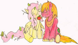 Size: 1502x884 | Tagged: safe, artist:mlp-hatersgonnahate, big macintosh, fluttershy, earth pony, pegasus, pony, apple, fluttermac, leaves, male, messy mane, mouth hold, shipping, stallion, straight, traditional art