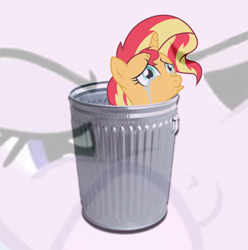 Size: 728x734 | Tagged: safe, starlight glimmer, sunset shimmer, pony, unicorn, equestria girls, abuse, background pony strikes again, boop, crying, downvote bait, exploitable meme, female, glimmerposting, into the trash it goes, mare, meme, op is a cuck, op is trying to start shit, op isn't even trying anymore, self-boop, shimmerbuse, sunset shimmer's trash can, sunset vs starlight debate, trash can, your waifu is trash