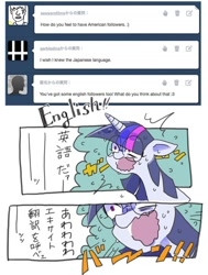 Size: 500x662 | Tagged: safe, derpibooru import, twilight sparkle, askcommusyotwi, japanese, tumblr