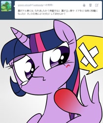 Size: 600x715 | Tagged: safe, derpibooru import, twilight sparkle, twilight sparkle (alicorn), alicorn, pony, asktandp, female, japanese, mare, tumblr