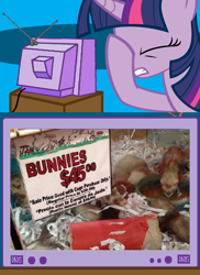 Size: 562x771 | Tagged: safe, derpibooru import, twilight sparkle, ferret, rabbit, exploitable meme, facehoof, fail, meme, pet shop, seems legit, tv meme, you had one job