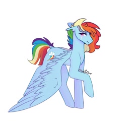 Size: 1024x1024 | Tagged: safe, artist:doodlepaintdraws, derpibooru import, rainbow dash, pegasus, pony, female, mare, raised hoof, scar, short tail, signature, simple background, solo, torn ear, white background