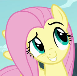 Size: 730x720 | Tagged: safe, fluttershy, pegasus, pony, bats!, dreamworks face, female, mare, solo