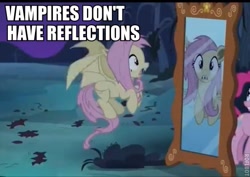 Size: 543x385 | Tagged: safe, fluttershy, bat pony, pony, undead, vampire, vampony, bats!, background pony strikes again, flutterbat, image macro, meme, mirror, race swap, reflection