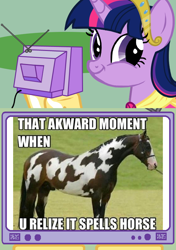 Size: 564x800 | Tagged: safe, derpibooru import, edit, edited screencap, screencap, twilight sparkle, twilight sparkle (alicorn), alicorn, horse, pony, exploitable meme, fake, female, hoers, image macro, irl, mare, tv meme, twiface, wrong neighborhood