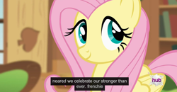 Size: 1600x830 | Tagged: safe, screencap, fluttershy, pegasus, pony, bats!, france, meme, solo, youtube caption