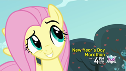 Size: 1920x1080 | Tagged: safe, screencap, fluttershy, pegasus, pony, bats!, dreamworks face, smugshy, solo