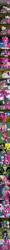 Size: 700x17025 | Tagged: safe, artist:fauxsquared, apple bloom, pinkie pie, scootaloo, sweetie belle, oc, earth pony, pony, burrito, comic, cutie mark crusaders