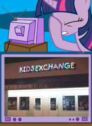 Size: 437x600 | Tagged: safe, derpibooru import, twilight sparkle, exploitable meme, facehoof, tv meme