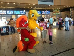 Size: 960x720 | Tagged: safe, artist:judhudson, applejack, big macintosh, human, cosplay, fursuit, irl, irl human, photo