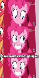 Size: 450x888 | Tagged: safe, edit, edited screencap, screencap, big macintosh, pinkie pie, earth pony, pony, pinkie apple pie, caption, grin, hub logo, hubble, image macro, male, reaction image, smiling, stallion, the hub