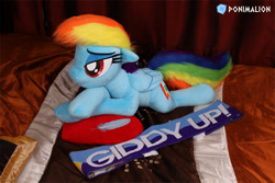 Size: 2160x1440 | Tagged: safe, artist:ponimalion, derpibooru import, rainbow dash, pegasus, pony, 4chan cup scarf, bedroom eyes, clothes, feather, female, folded wings, giddy up, heart, heart pillow, irl, life size, lying, lying on bed, mare, photo, pillow, plushie, scarf, solo