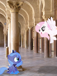 Size: 773x1033 | Tagged: safe, artist:lightningbolt, artist:tokkazutara1164, artist:unfiltered-n, princess celestia, princess luna, pony, castle, cewestia, courtyard, filly, floating, flying, irl, open mouth, photo, pillar, ponies in real life, shadow, sitting, smiling, vector, woona