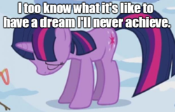 Size: 680x437 | Tagged: safe, derpibooru import, edit, edited screencap, screencap, twilight sparkle, winter wrap up, bender bending rodriguez, cropped, futurama, image macro, solo