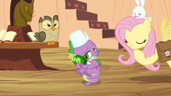 Size: 1050x590 | Tagged: safe, screencap, angel bunny, fluttershy, owlowiscious, spike, dragon, pegasus, pony, just for sidekicks