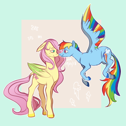 Size: 2895x2893 | Tagged: safe, artist:roscoethepotatoman, derpibooru import, fluttershy, rainbow dash, pegasus, pony, abstract background, boop, colored hooves, colored wings, colored wingtips, eye contact, female, flutterdash, lesbian, looking at each other, mare, multicolored wings, noseboop, rainbow feathers, rainbow wings, shipping, smiling