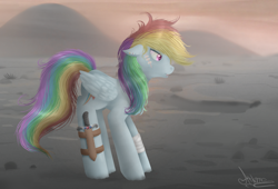 Size: 1024x696 | Tagged: safe, artist:ayame-shiro, derpibooru import, rainbow dash, pegasus, pony, blood, scar, solo, sword, warrior, wasteland, weapon