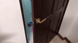 Size: 472x264 | Tagged: safe, artist:nekokevin, starlight glimmer, pony, unicorn, series:nekokevin's glimmy, adoracreepy, animated, creepy, cute, door, door opening, face of mercy, female, floor, gif, glimmerbetes, head tilt, irl, life size, looking at you, mare, paranoia fuel, photo, plushie, she knows, sitting, smiling, solo, stalker, this will end in communism