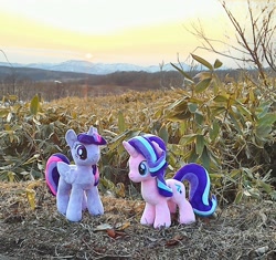 Size: 1348x1269 | Tagged: safe, photographer:hihin1993, starlight glimmer, twilight sparkle, twilight sparkle (alicorn), alicorn, pony, unicorn, cropfield, irl, photo, plushie, sunset